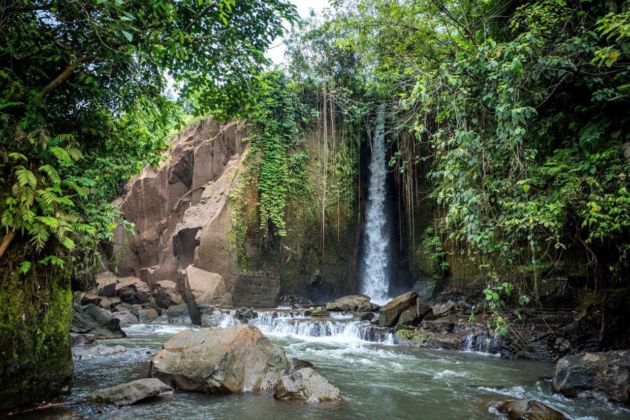 Liam Private Villa Ubud  Ngoại thất bức ảnh